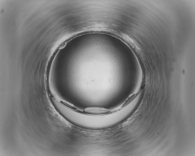 X0000087031334200704301330