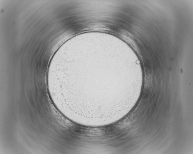 X0000087031338200704301330