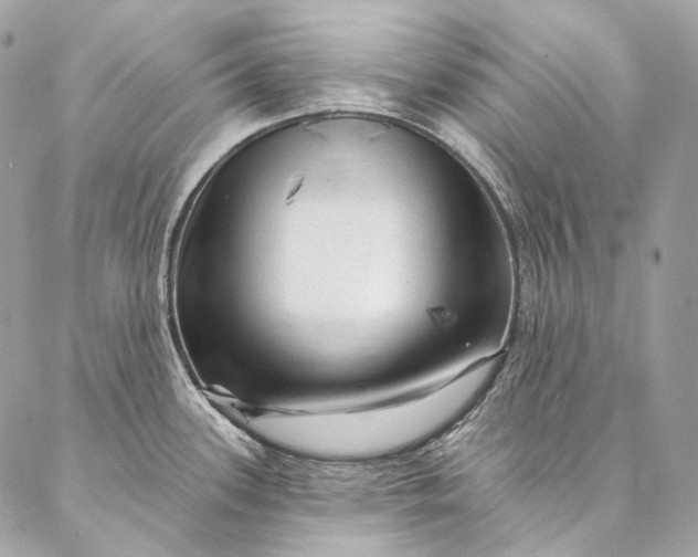 X0000087031339200704301330