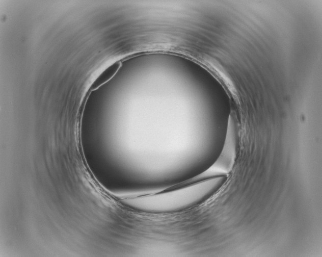 X0000087031340200704301330