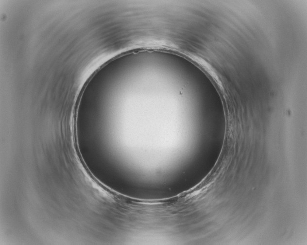 X0000087031343200704301330