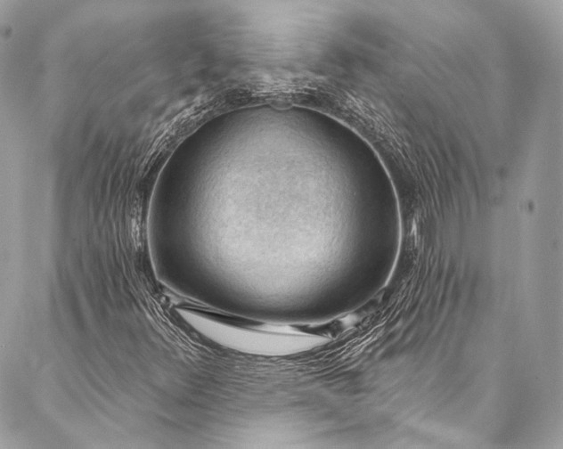 X0000087031348200704301329