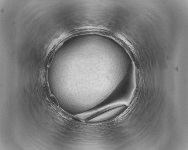 X0000087031357200704301329