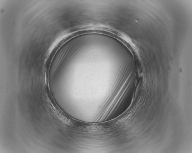 X0000087031368200704301329