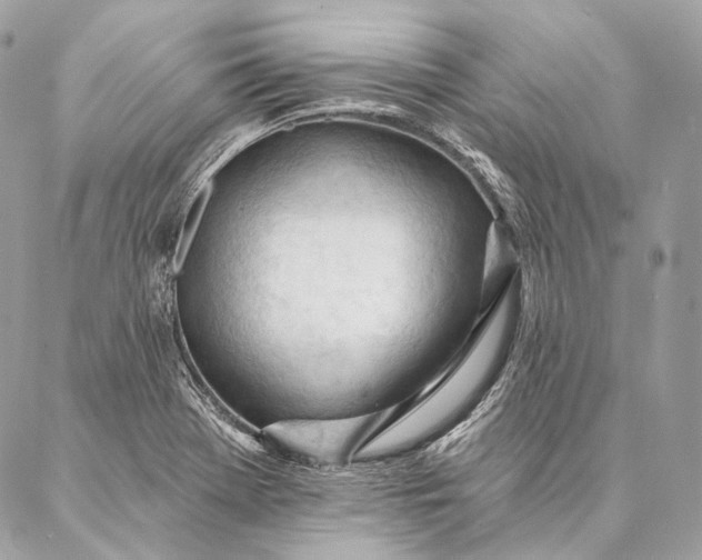 X0000087031369200704301329