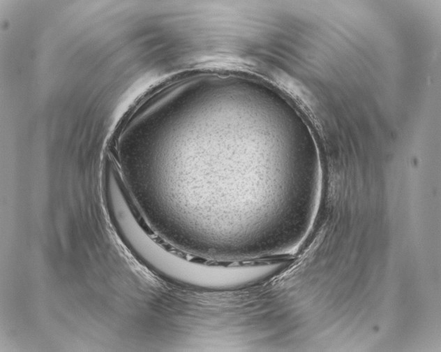 X0000087031376200704301328