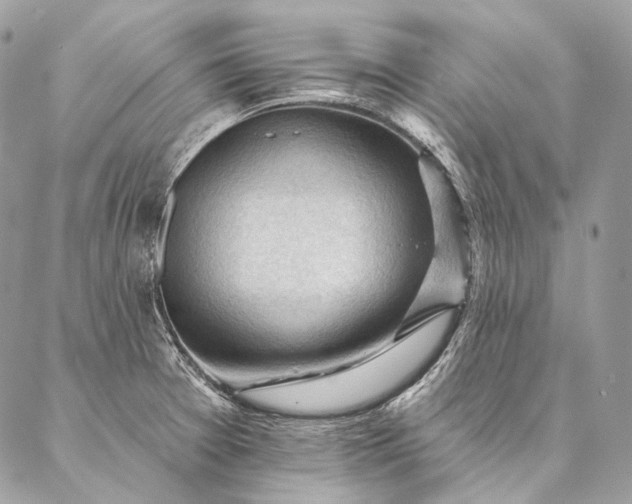 X0000087031377200704301328