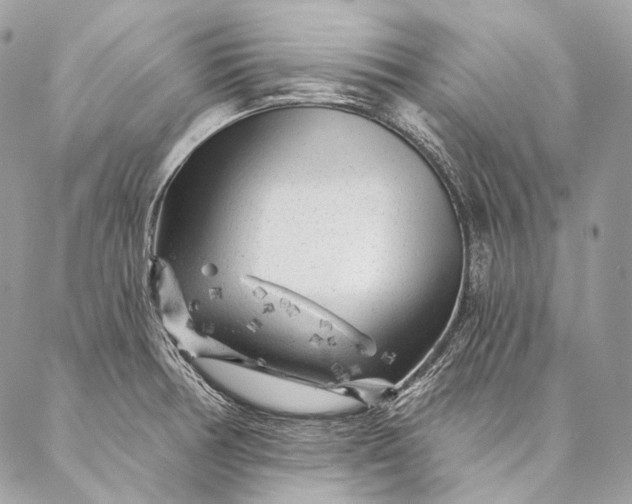 X0000087031378200704301328