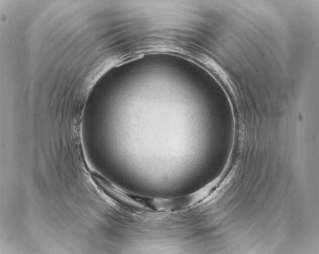 X0000087031385200704301328