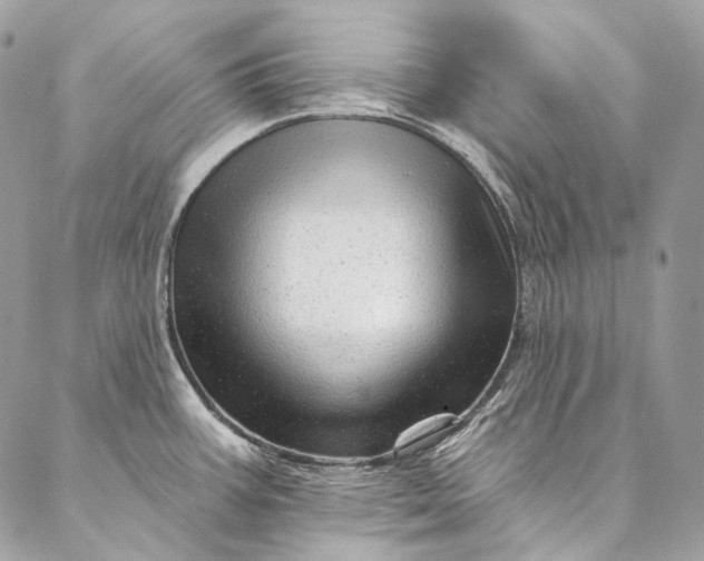 X0000087031387200704301328