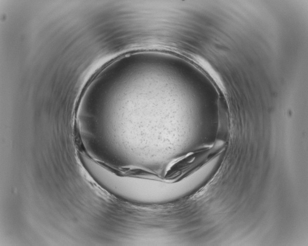 X0000087031388200704301328
