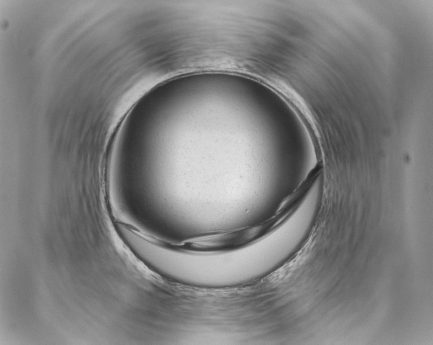 X0000087031389200704301328