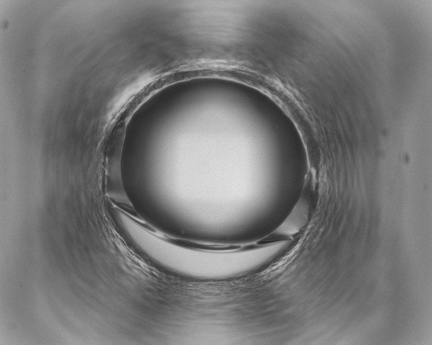 X0000087031406200704301328