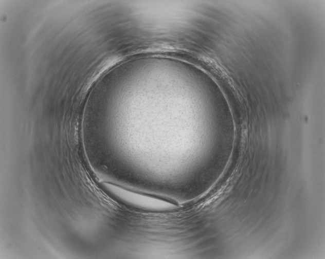 X0000087031409200704301328