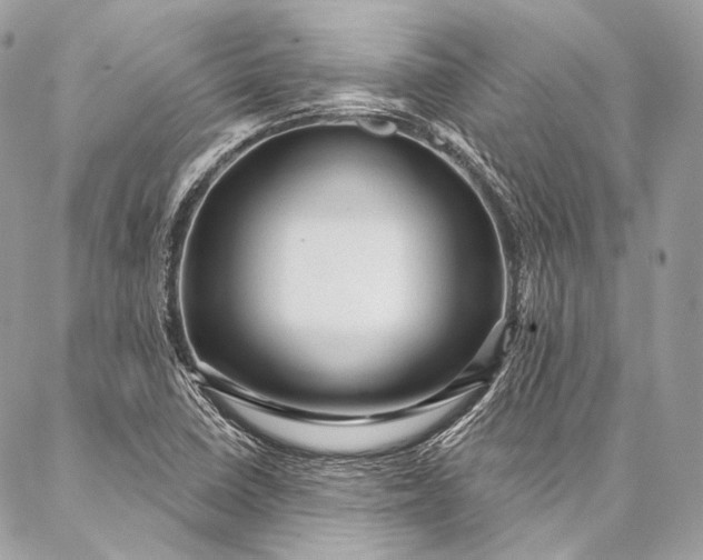 X0000087031410200704301328