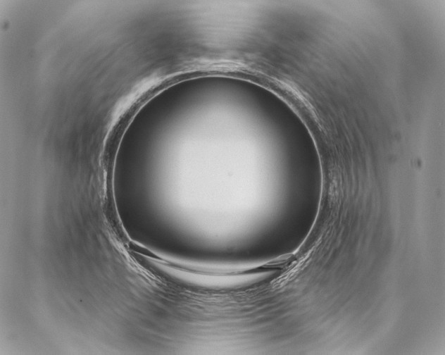 X0000087031414200704301328