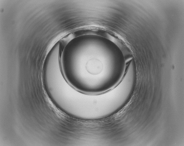 X0000087031418200704301328