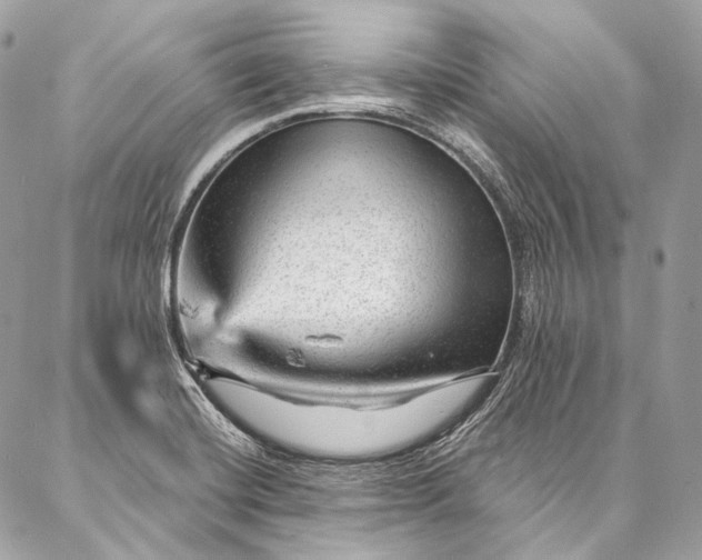X0000087031420200704301328
