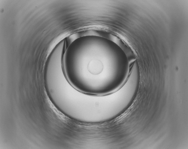 X0000087031426200704301328