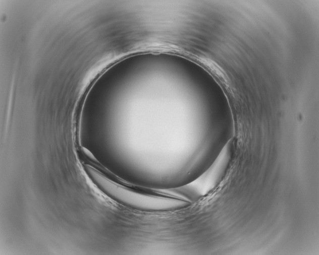 X0000087031430200704301328