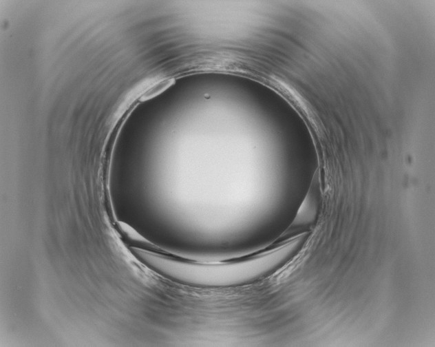 X0000087031434200704301328
