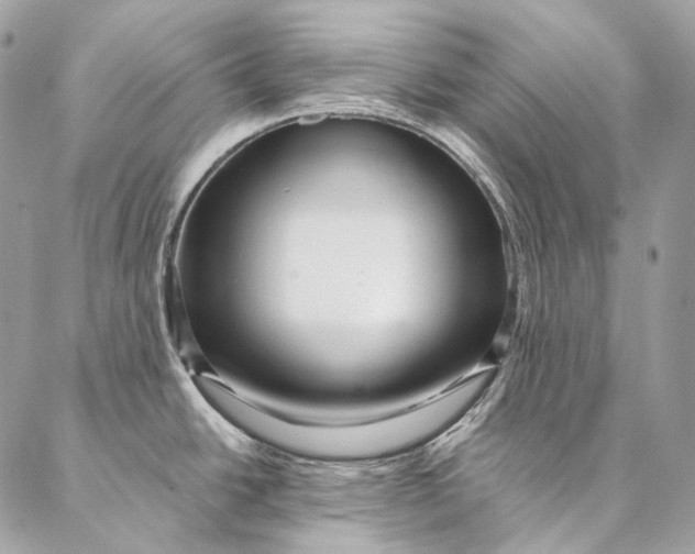 X0000087031438200704301328