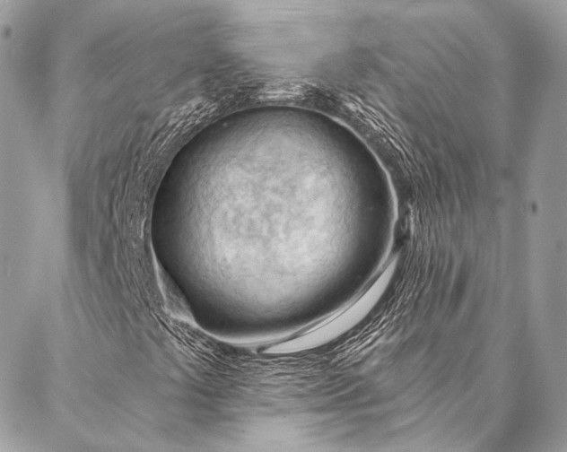 X0000087031441200704301327