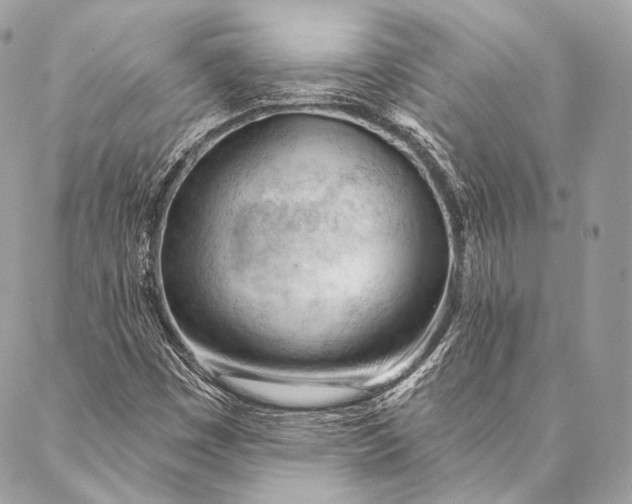 X0000087031449200704301327