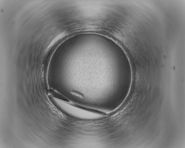 X0000087031450200704301327