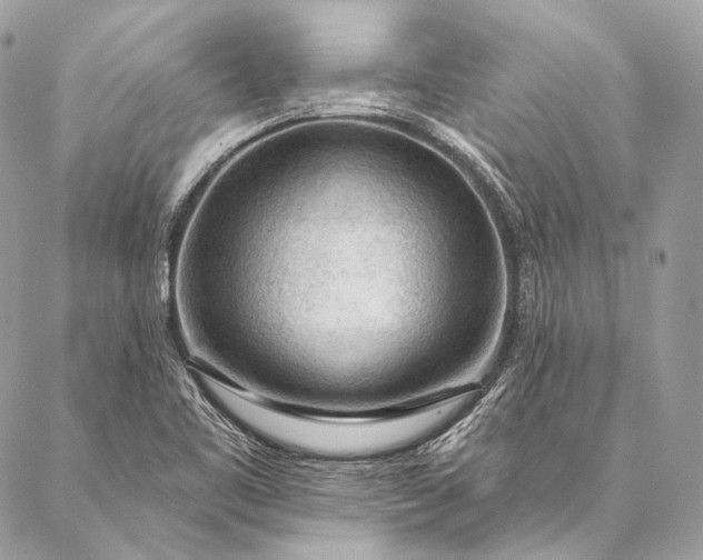 X0000087031461200704301327