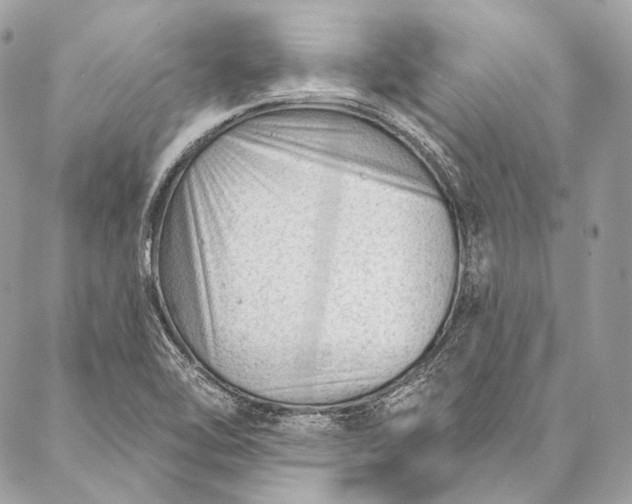 X0000087031462200704301327
