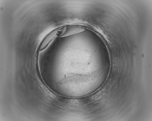 X0000087031463200704301327