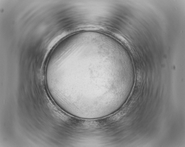 X0000087031466200704301327