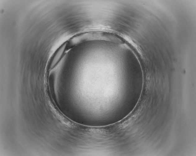 X0000087031469200704301327