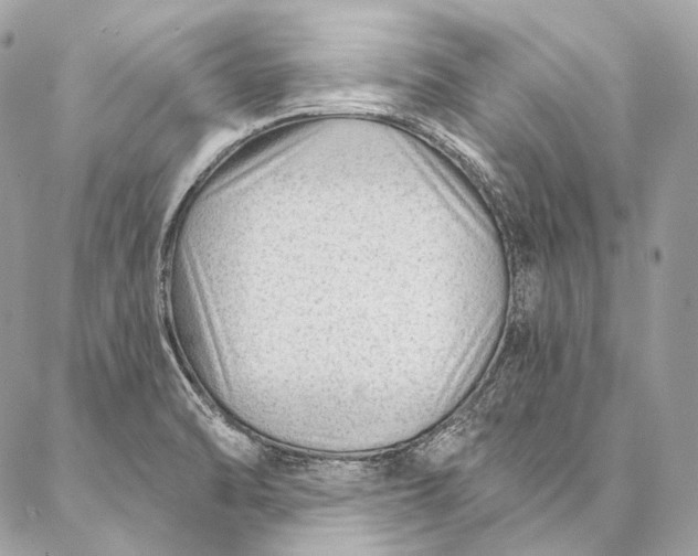 X0000087031470200704301327