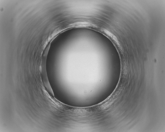 X0000087031473200704301327