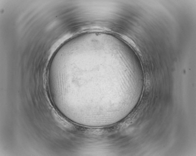 X0000087031474200704301327