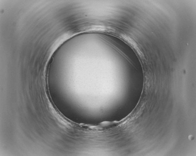 X0000087031475200704301327