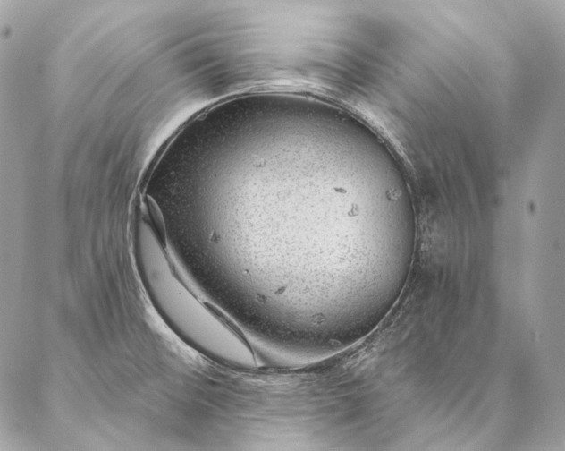 X0000087031476200704301327