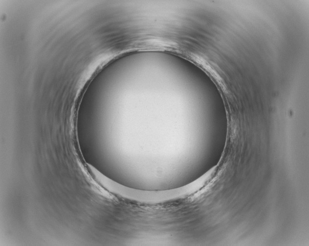 X0000087031477200704301327