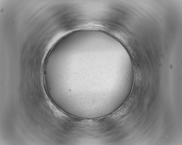X0000087031478200704301327