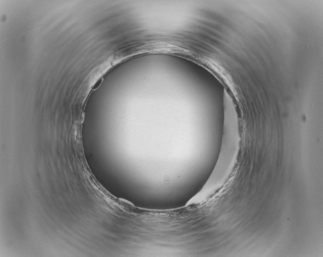 X0000087031481200704301327