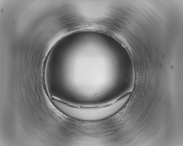 X0000087031483200704301327