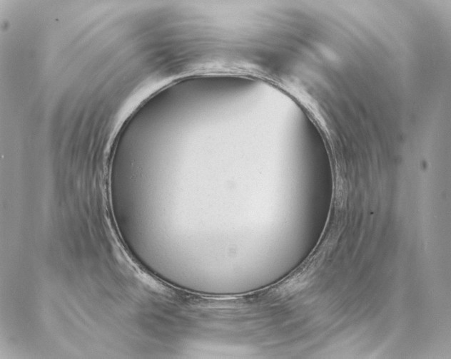 X0000087031486200704301327