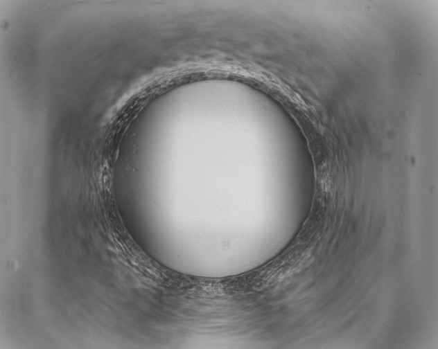 X0000087031495200704301326