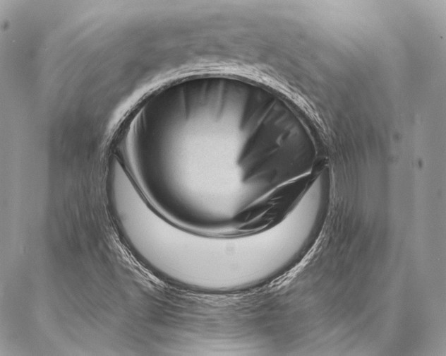 X0000087031502200704301326