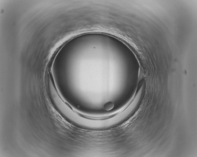 X0000087031510200704301326