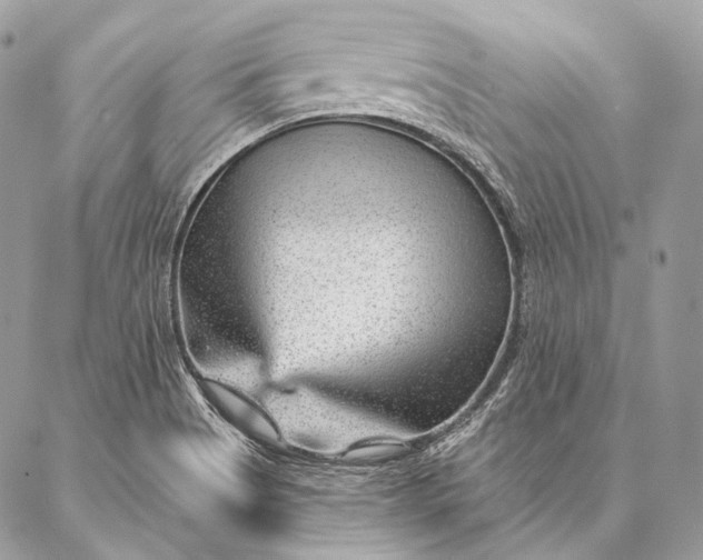 X0000087031513200704301326