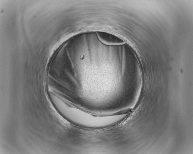 X0000087031525200704301326