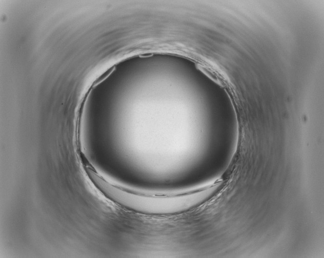 X0000087031528200704301326